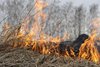 Сжигание сухой растительности на землях сельскохозяйственного назначения недопустимо