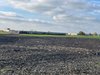 Предприятие из Брюховецкого района устранило захламление земельного участка сельскохозяйственного назначения 