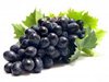Более 19 тонн зараженного винограда прибыло в Новороссийск из Турции 