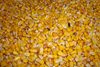 В Павловском районе выявлено нарушение технического регламента Таможенного союза «О безопасности зерна» 