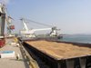 О выявлении возбудителей болезней пшеницы при экспортных операциях в портах Краснодарского края