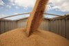 О снятии региональных ограничений на ввоз пшеницы и ячменя из РФ в Китай
