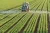 Предприниматель из Курганинского района привлечен к ответственности за нарушения при работе с пестицидами и агрохимикатами