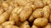 Партия картофеля продовольственного из Египта разрешена к ввозу в Российскую Федерацию после проведения обеззараживания