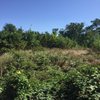 В Майкопском районе Республики Адыгея выявлено более 300 га неиспользуемых земель 