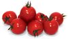  Южноамериканская томатная моль выявлена в партии томатов весом 55,9 тонн из Турции 